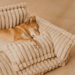 Pet Sofa Bed with Removable Washable Cover - Plush, Grid Pattern All-Season Dog & Cat Bed - 图片 4